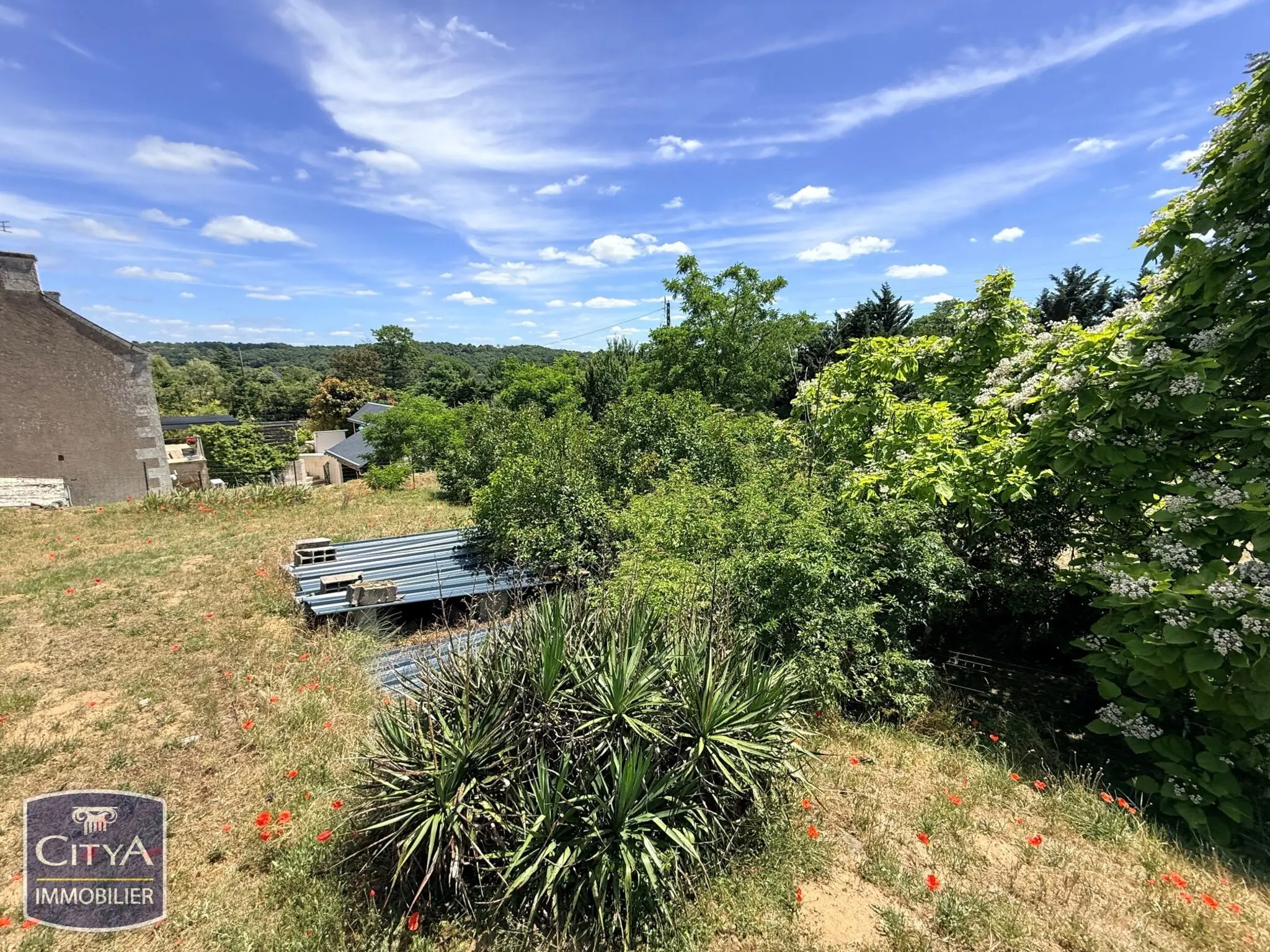 Terrain à Chinon — photo 7