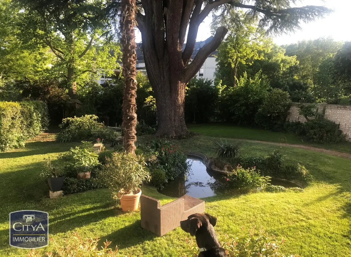 Maison 8 pièces à Chinon — photo 2