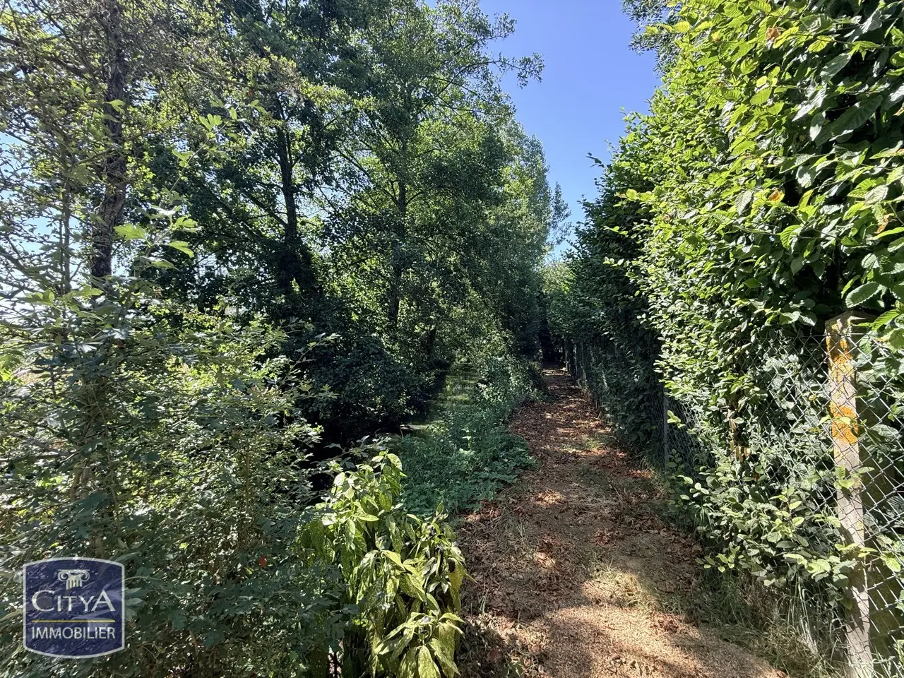 Maison 8 pièces à Sainte-Maure-de-Touraine — photo 8