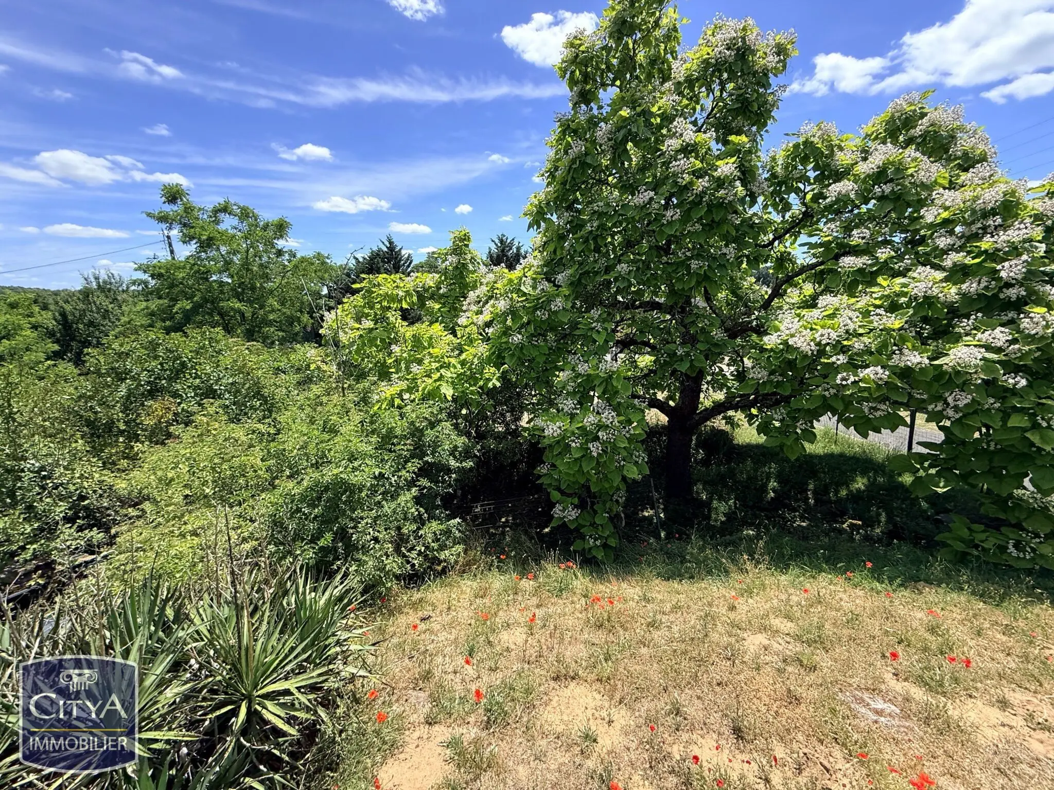 Terrain à Chinon — photo 2
