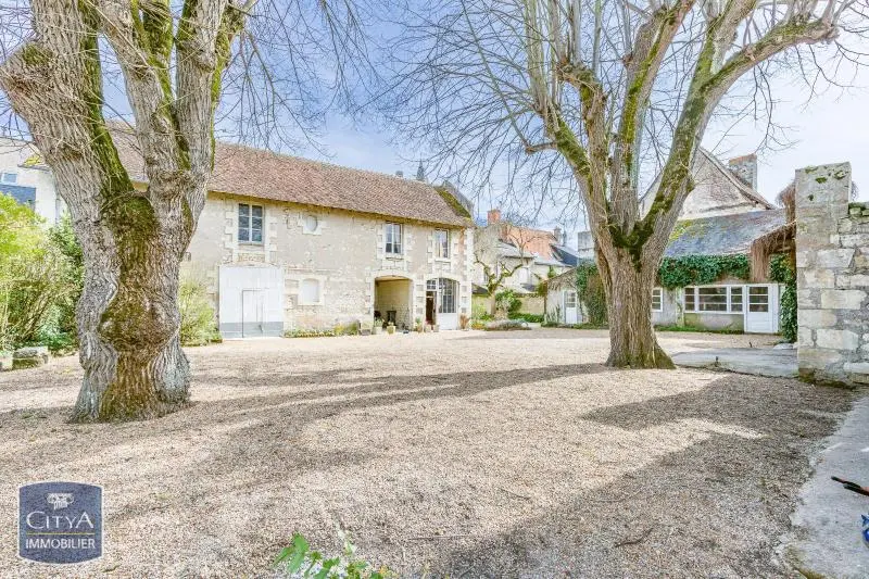 Maison 9 pièces à L'Île-Bouchard — photo 3