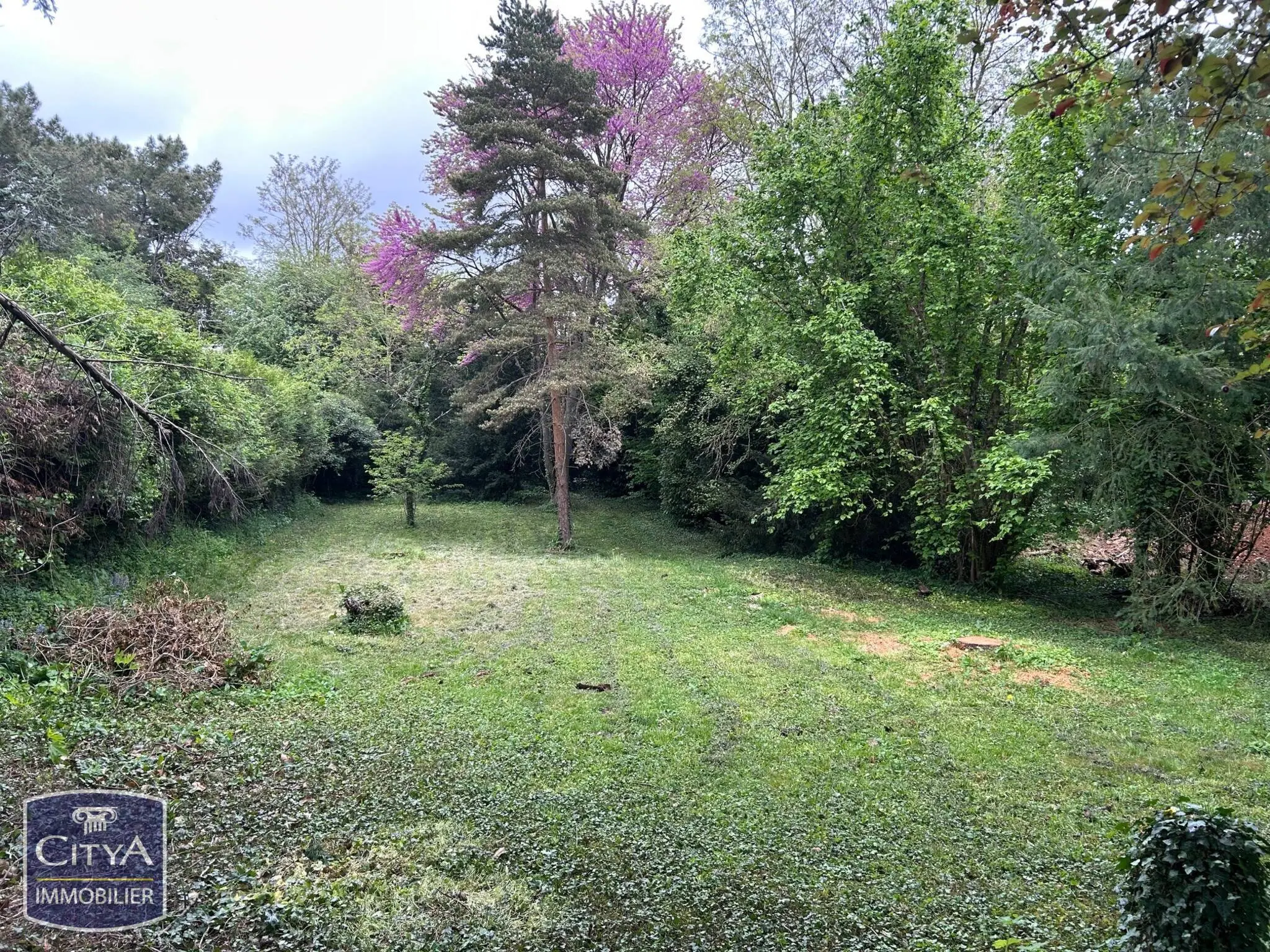 Terrain à Poitiers — photo 4