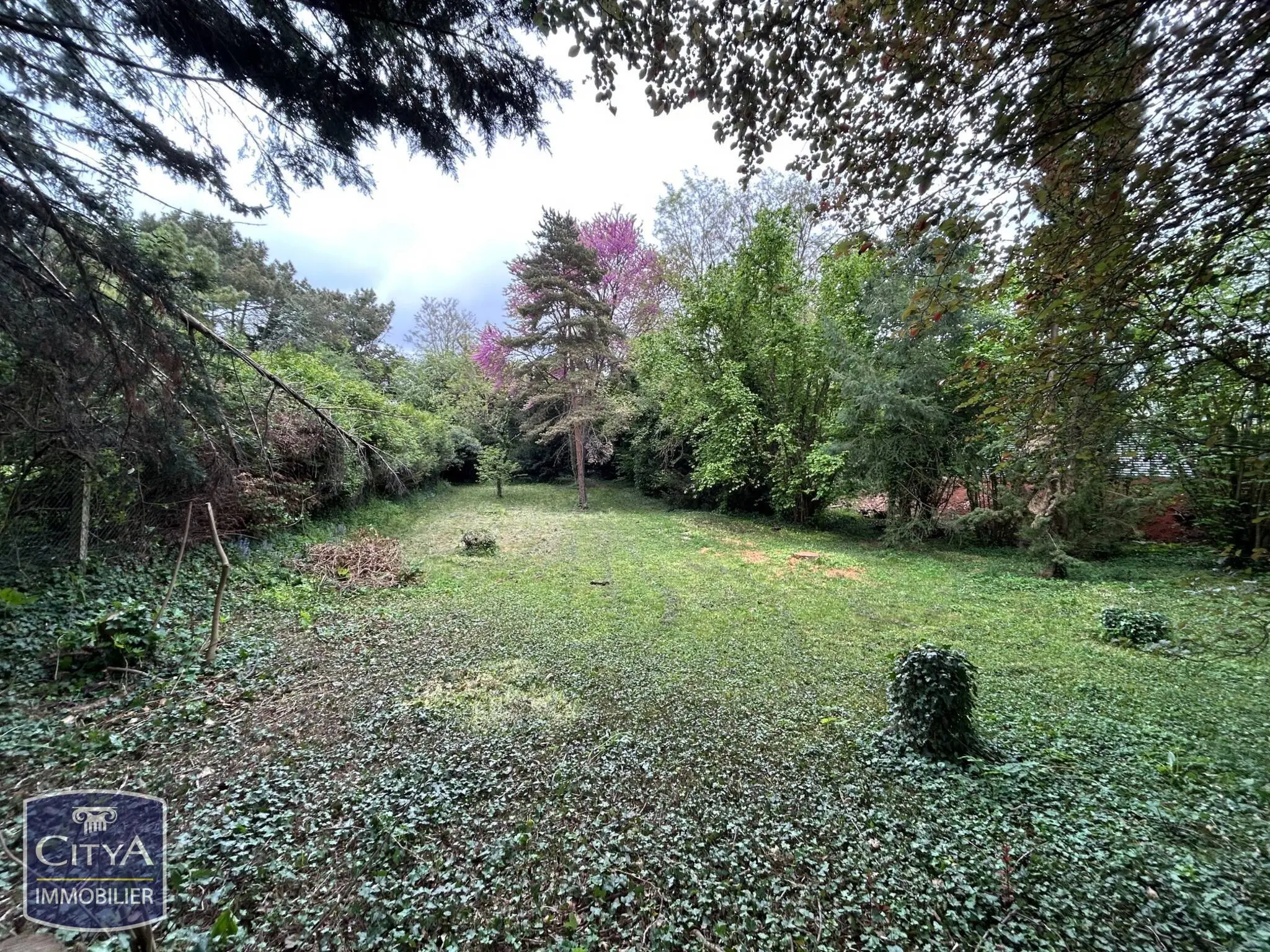 Terrain à Poitiers — photo 2