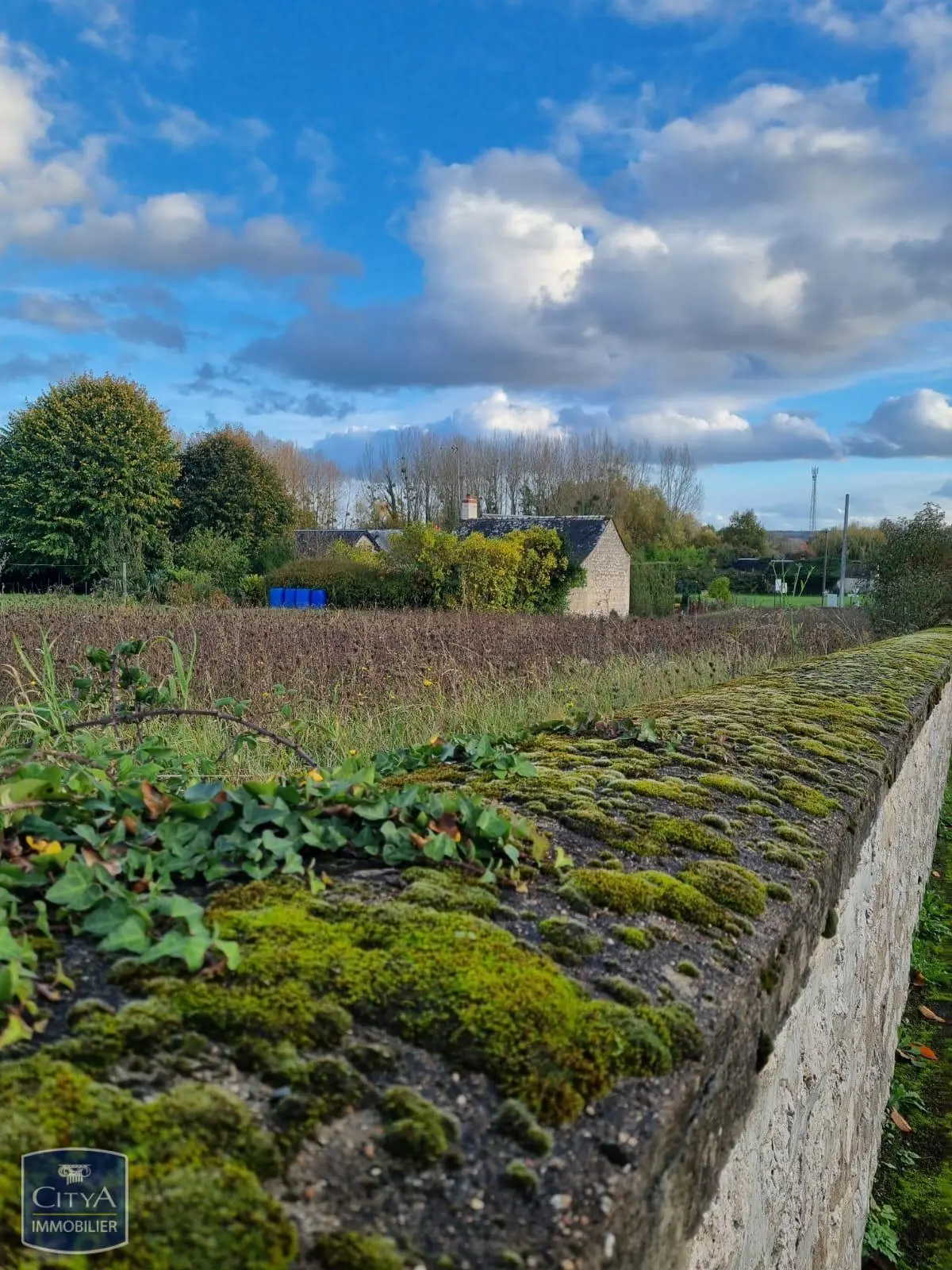 Terrain à Coteaux-sur-Loire — photo 3