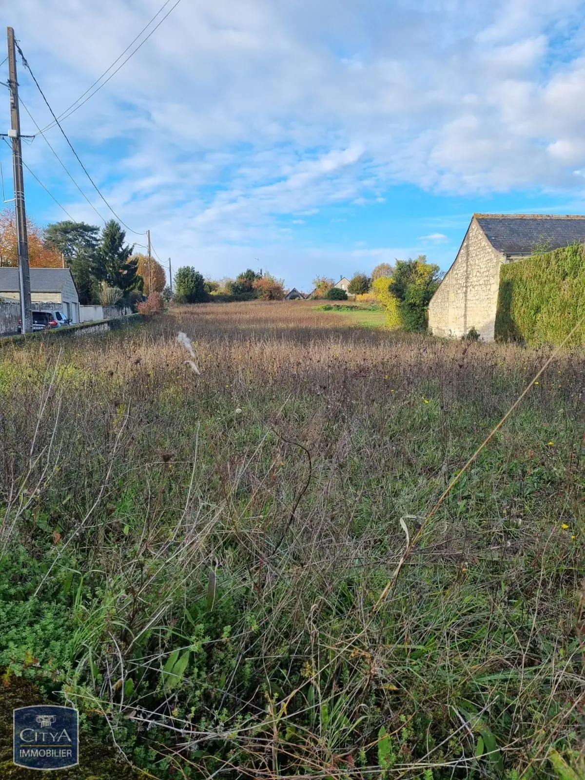 Terrain à Coteaux-sur-Loire — photo 2