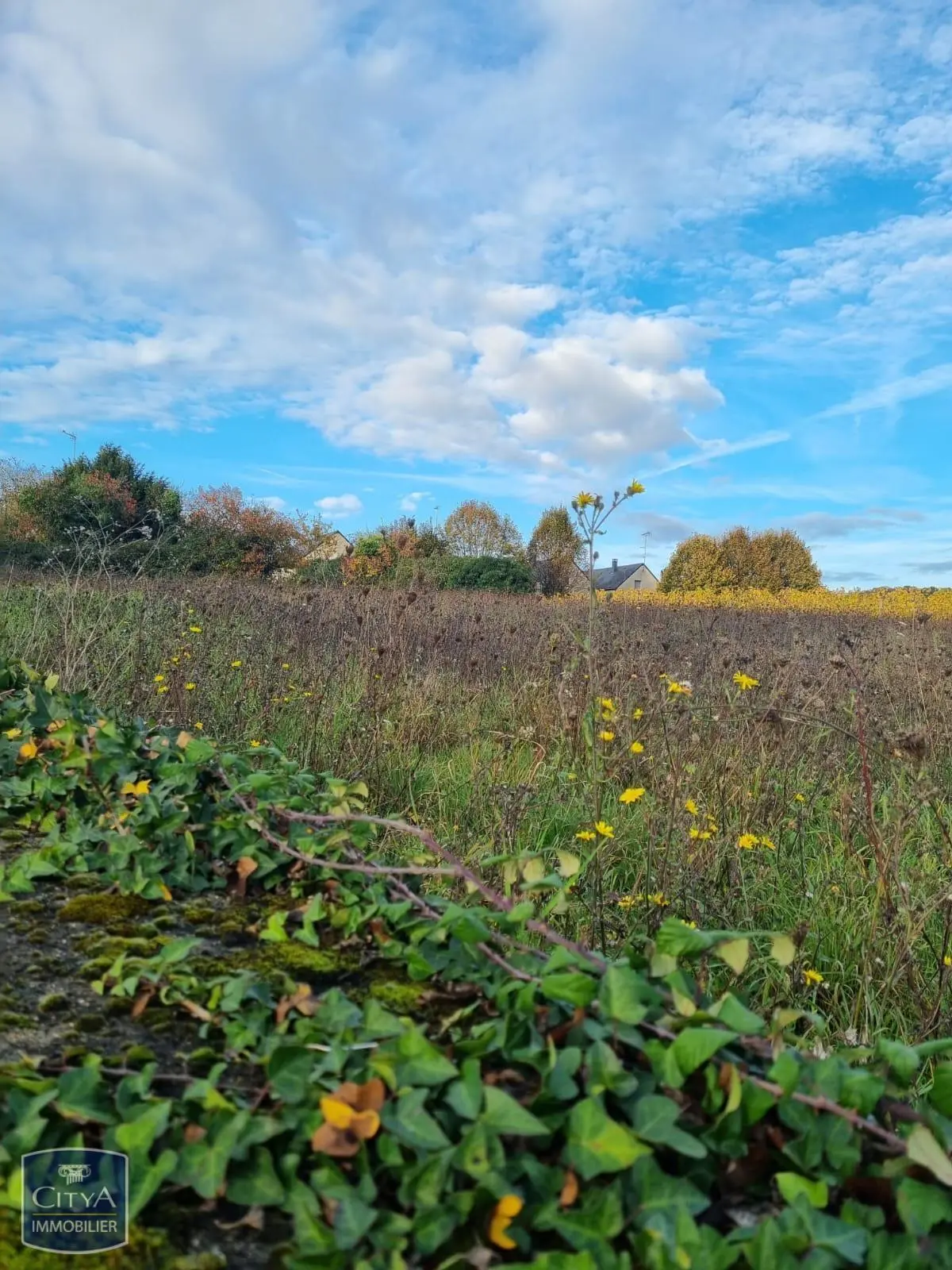 Terrain à Coteaux-sur-Loire — photo 4