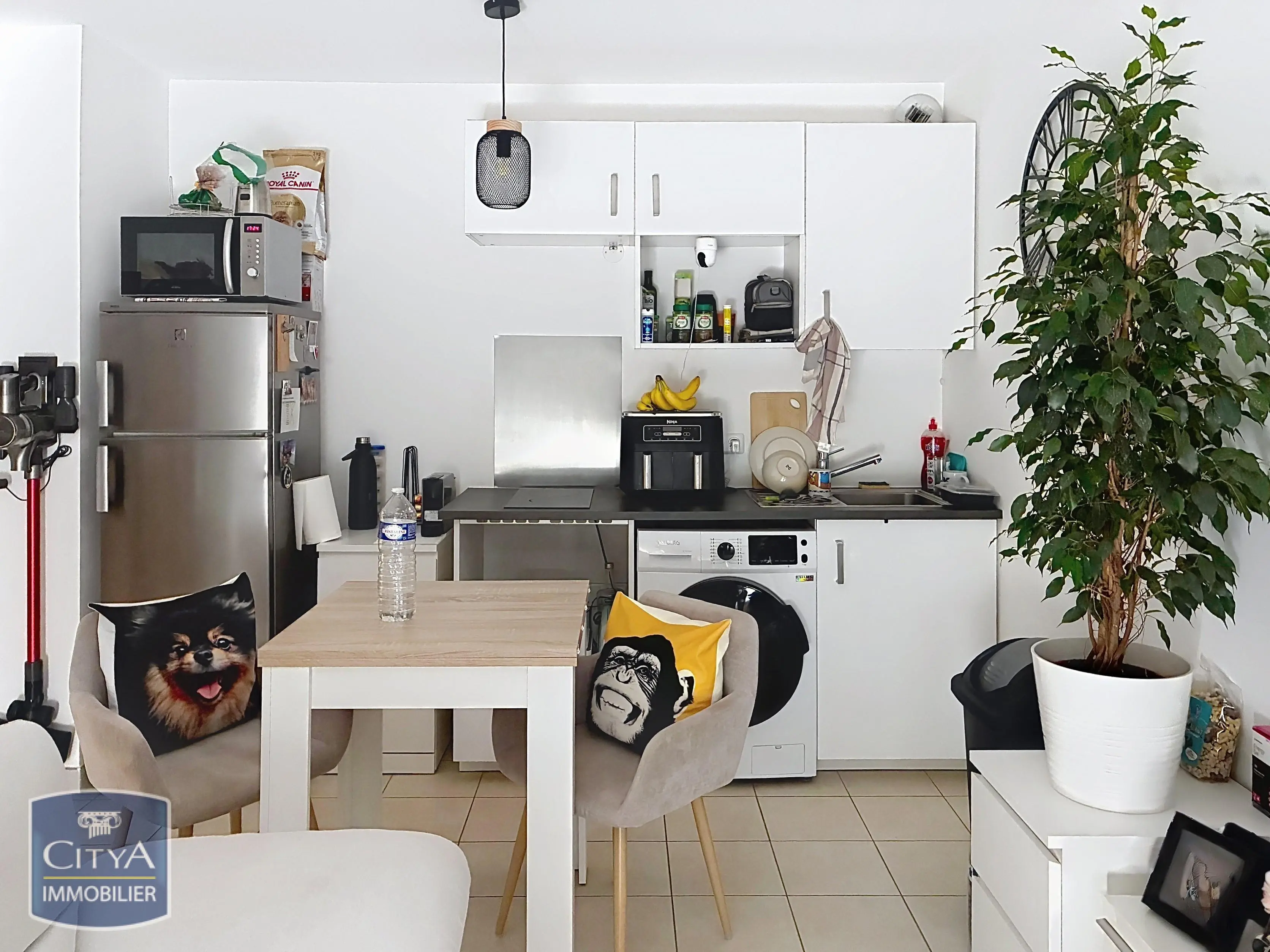 Appartement 1 pièces 33m²