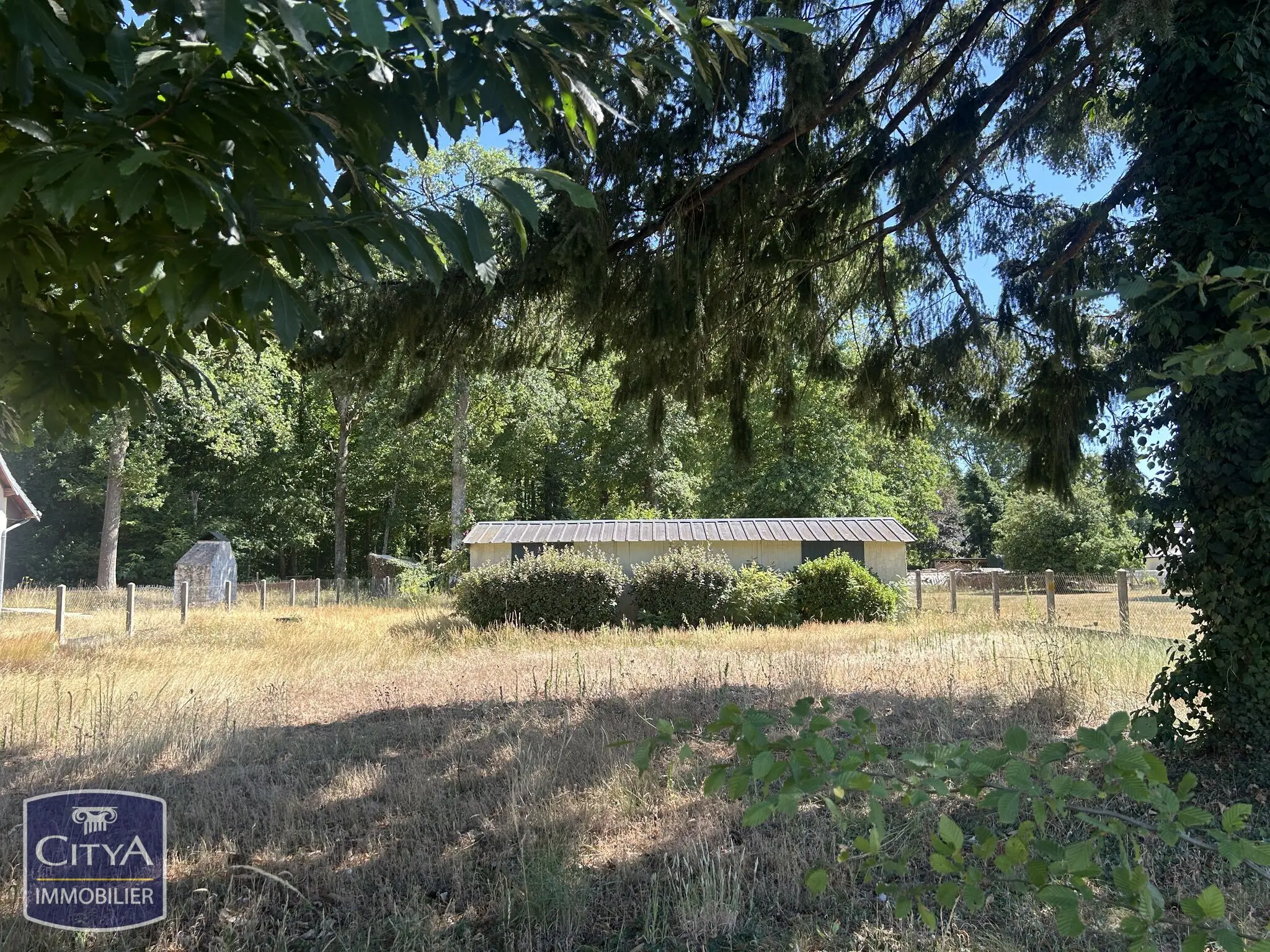 Terrain à Candé-sur-Beuvron — photo 4