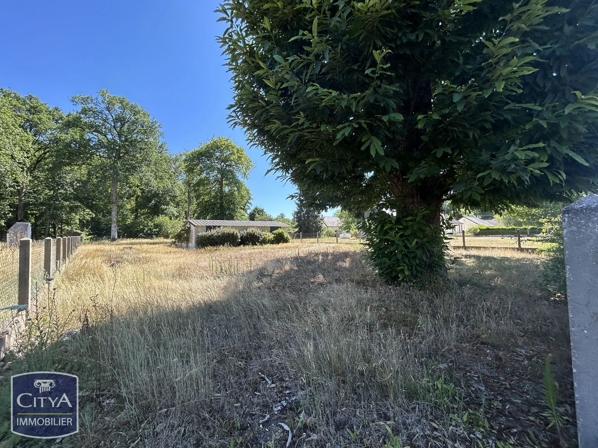 Terrain à Candé-sur-Beuvron — photo 2