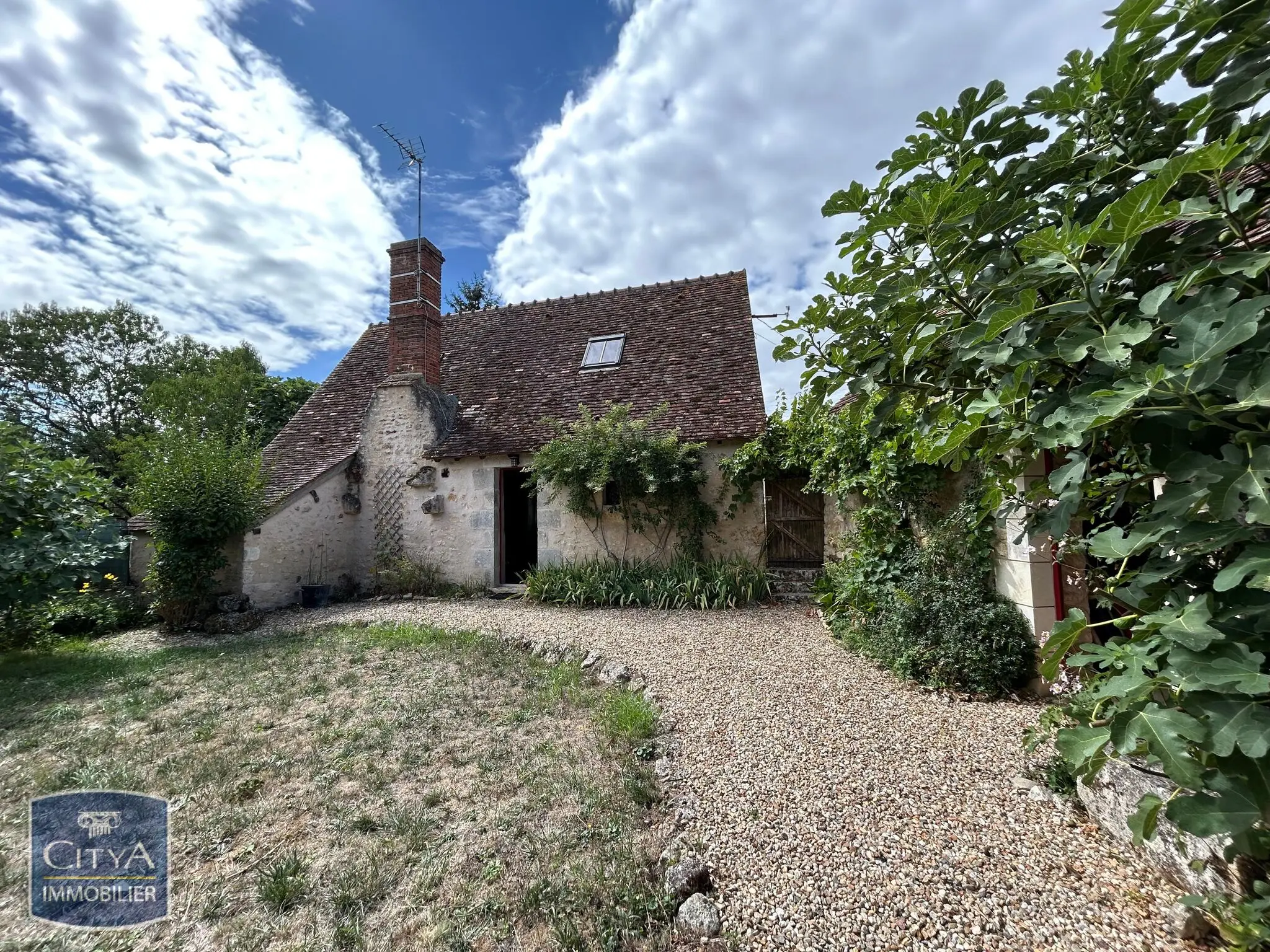 Maison 6 pièces à Le Blanc — photo 19