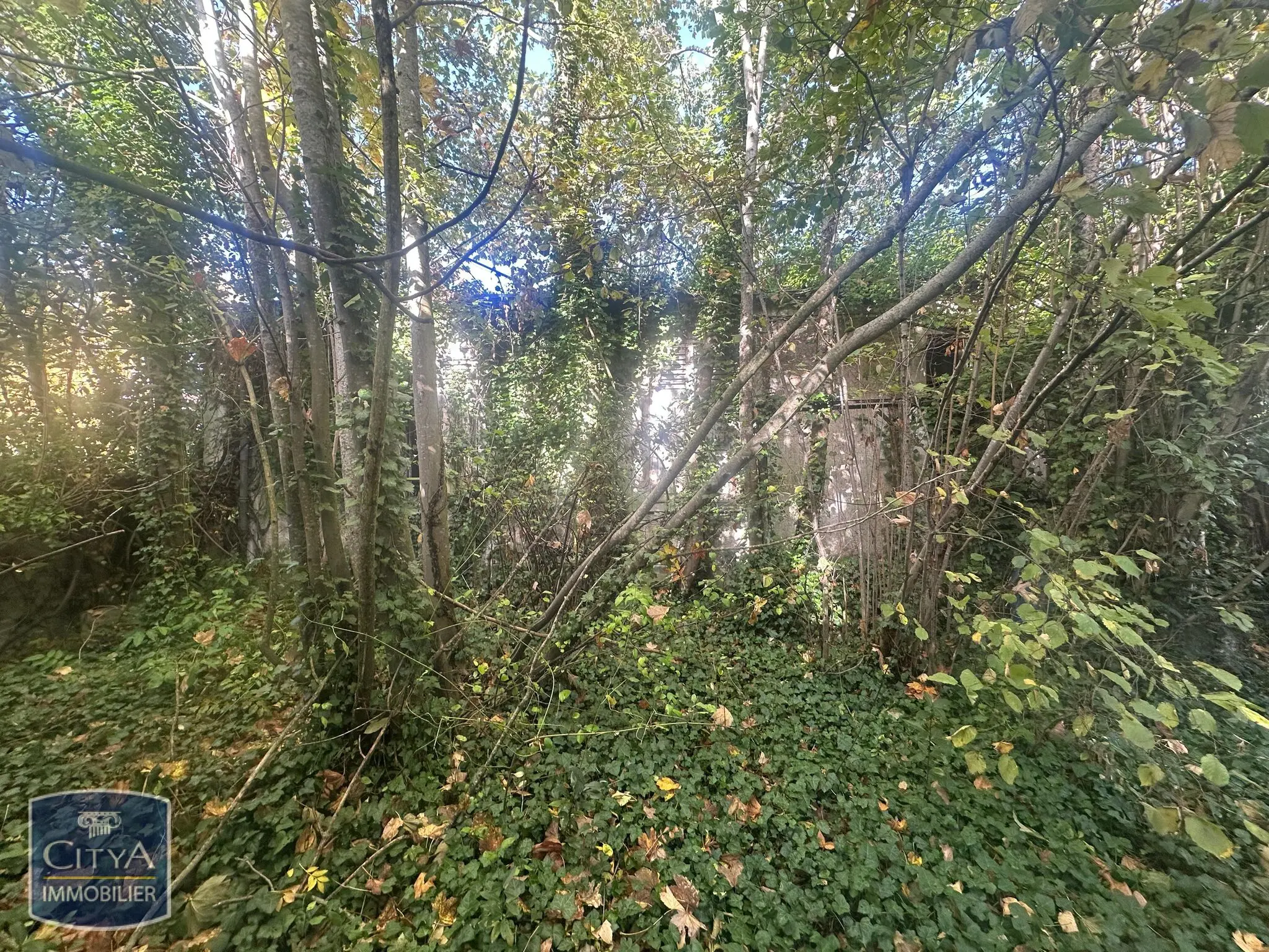 Terrain à Corbeil-Essonnes — photo 5
