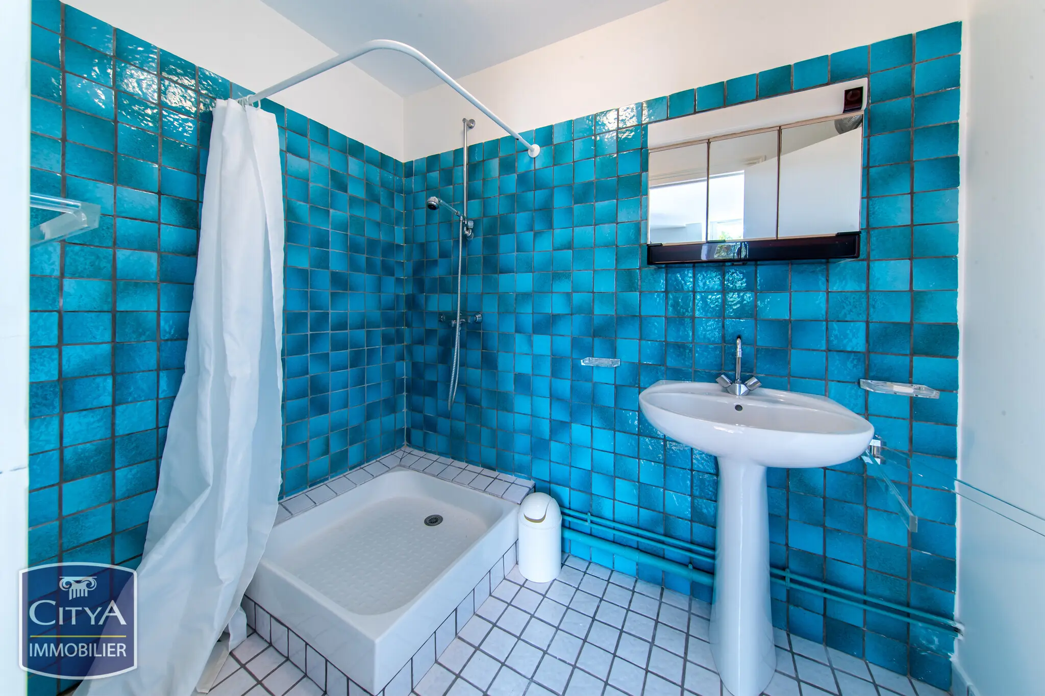 Maison 10 pièces à La Villedieu-du-Clain — photo 23