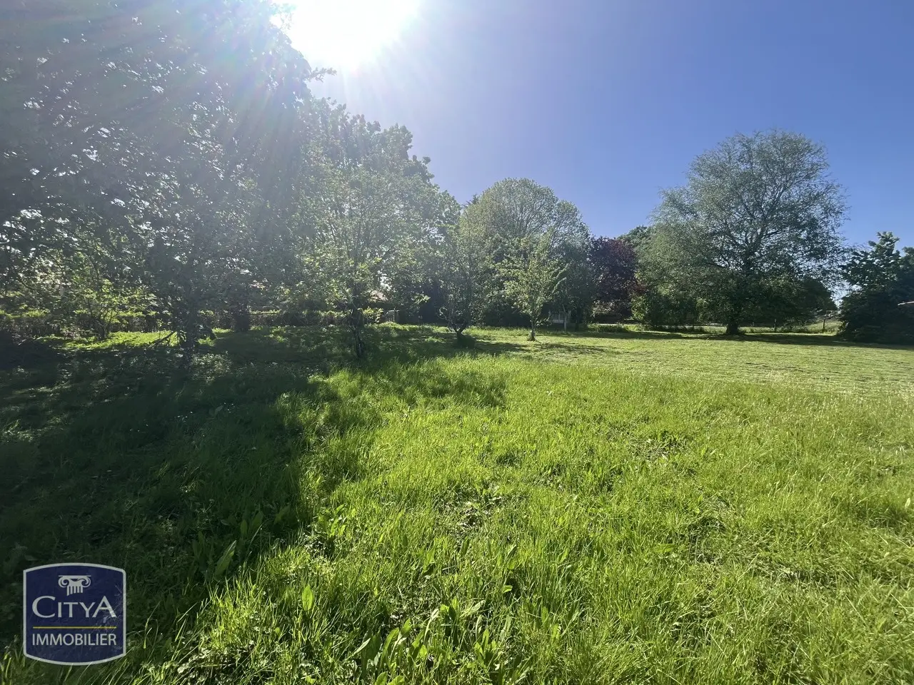 Terrain à Nieuil-l'Espoir — photo 4