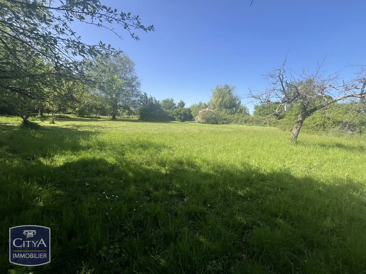 Terrain à Nieuil-l'Espoir — photo 5